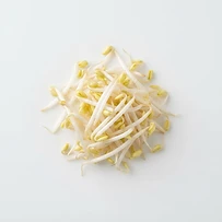 fresh bean sprouts