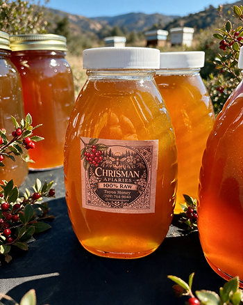Toyon Honey