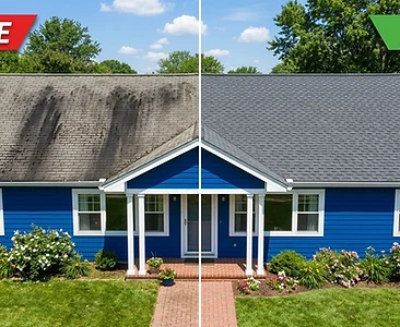 Roof Cleaning result