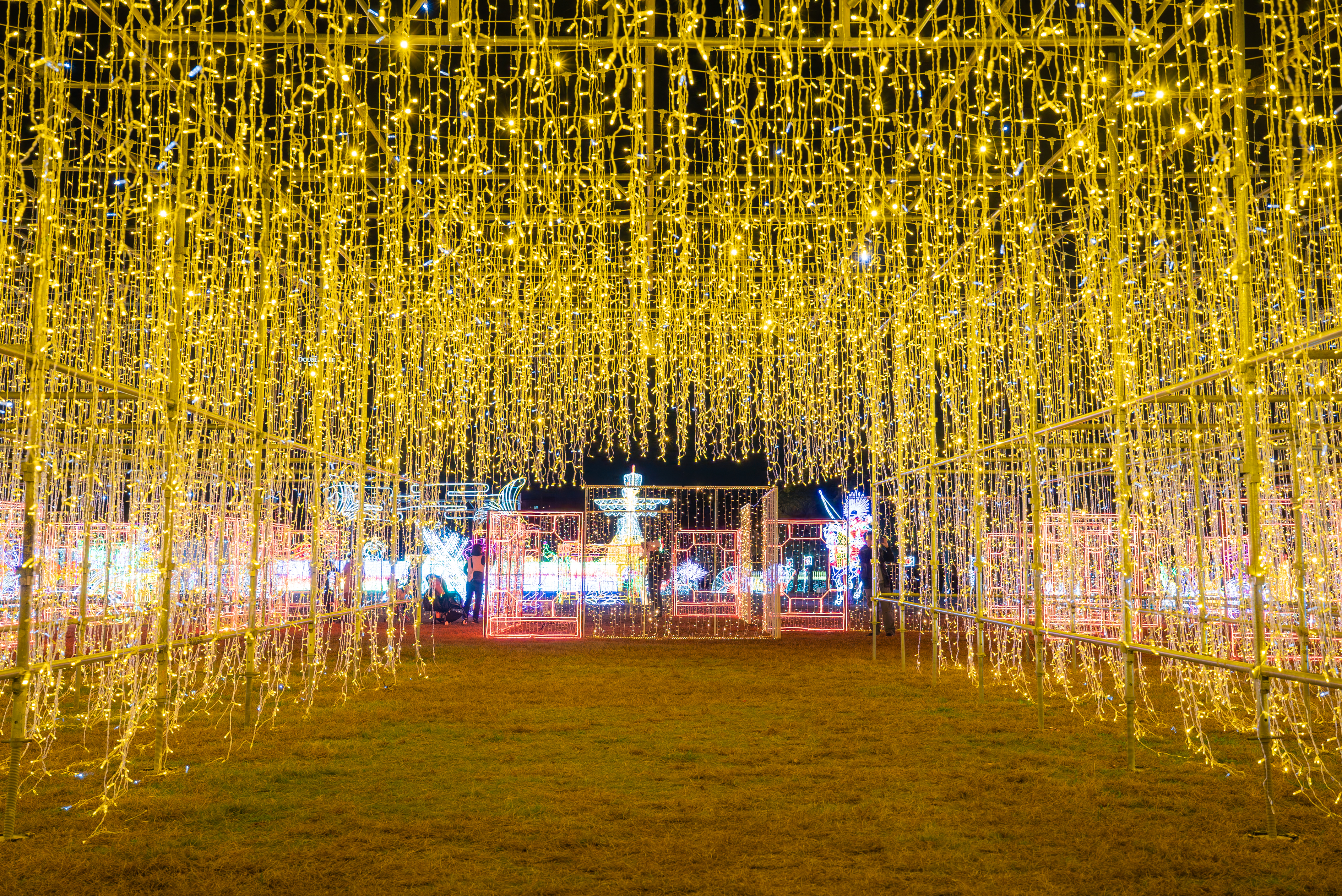 大阪城イルミナージュ 会場風景｜黄金の光のトンネル