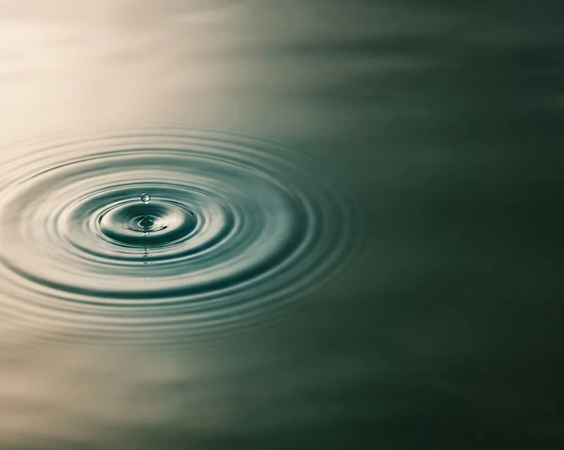 Concentric ripples spreading across calm water