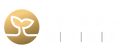 Alphabet Private Wealth