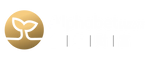 Alphabet Private Wealth