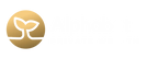 Alphabet Private Wealth