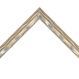 Champagne Silver — Profile corner