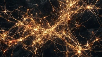 AI-Assisted Productivity