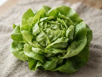 Kropsla