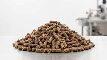 Beet pulp pellets bulk livestock feed by-product