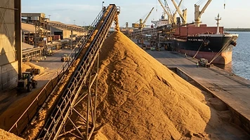 Bulk raw brown VHP cane sugar piled at a maritime export terminal