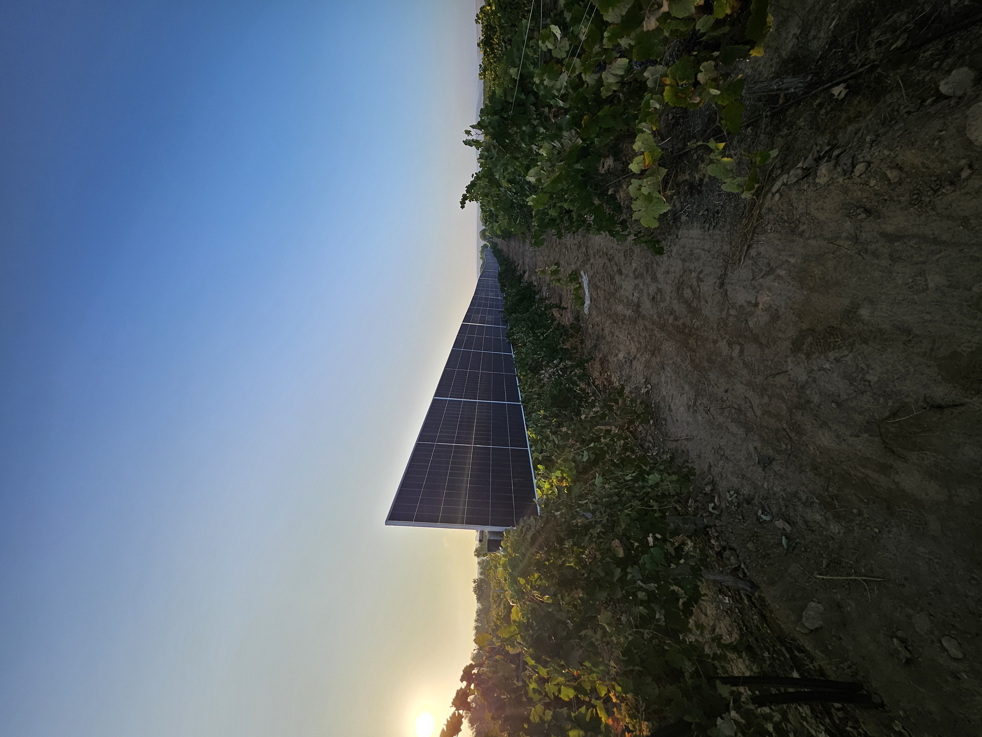 SolarWine video