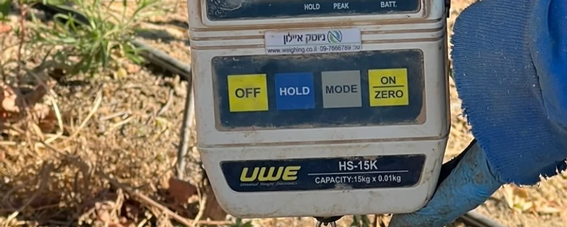 SolarWine vineyard field measurement