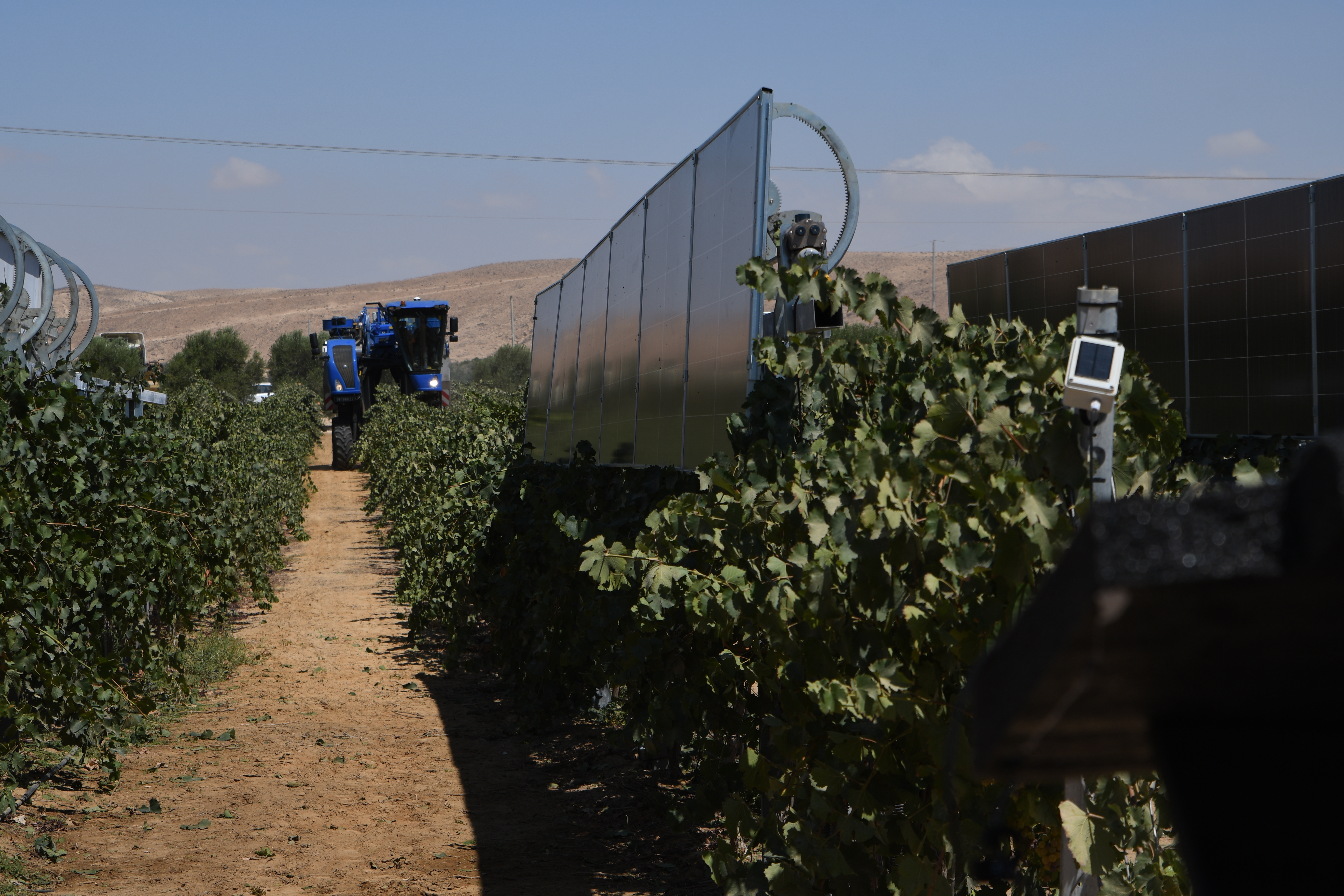 SolarWine commercial agrivoltaic deployment