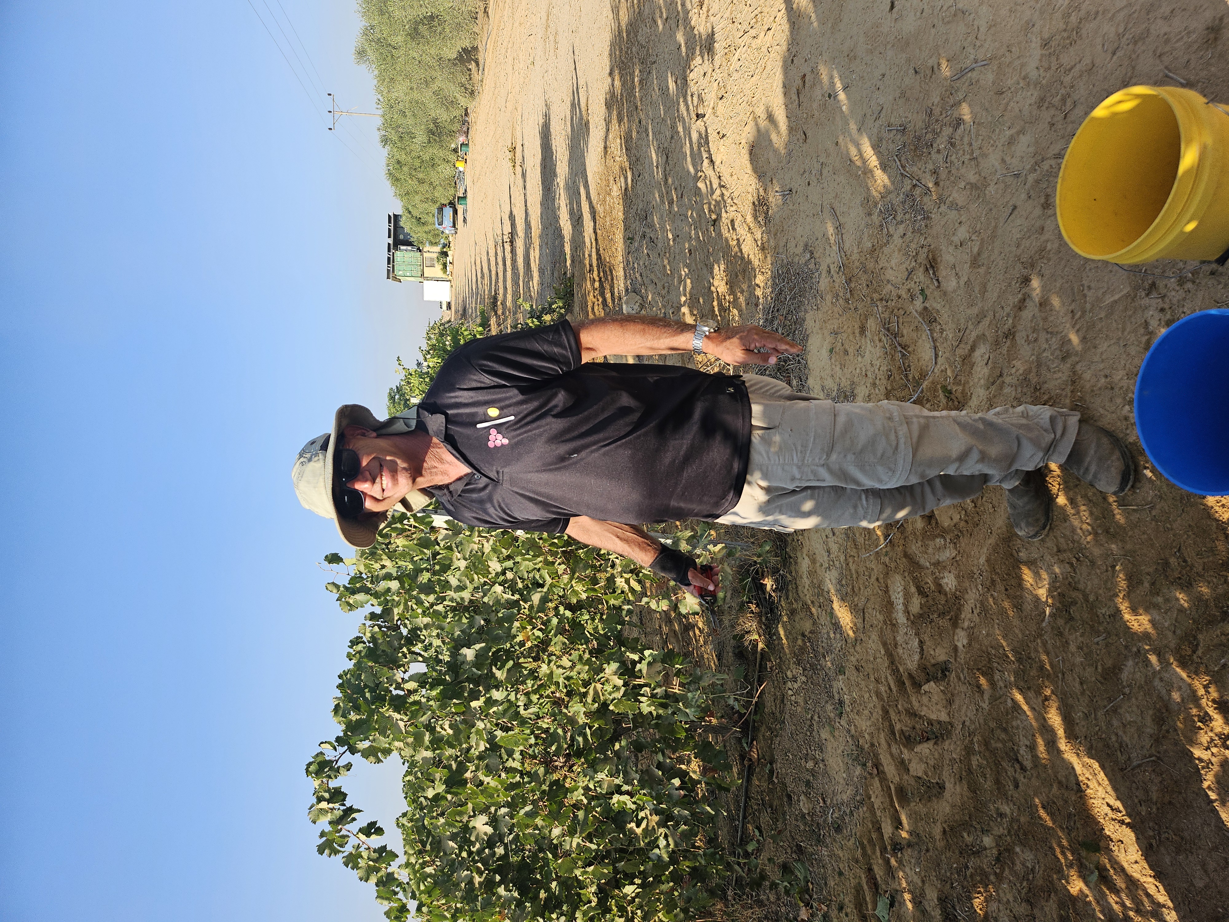 SolarWine at the vineyard