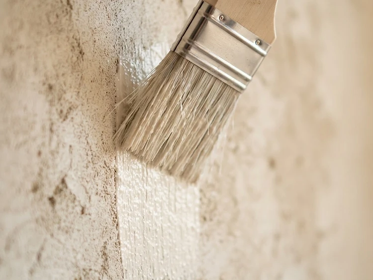 A professional painter finishing a wall in a sunlit living room