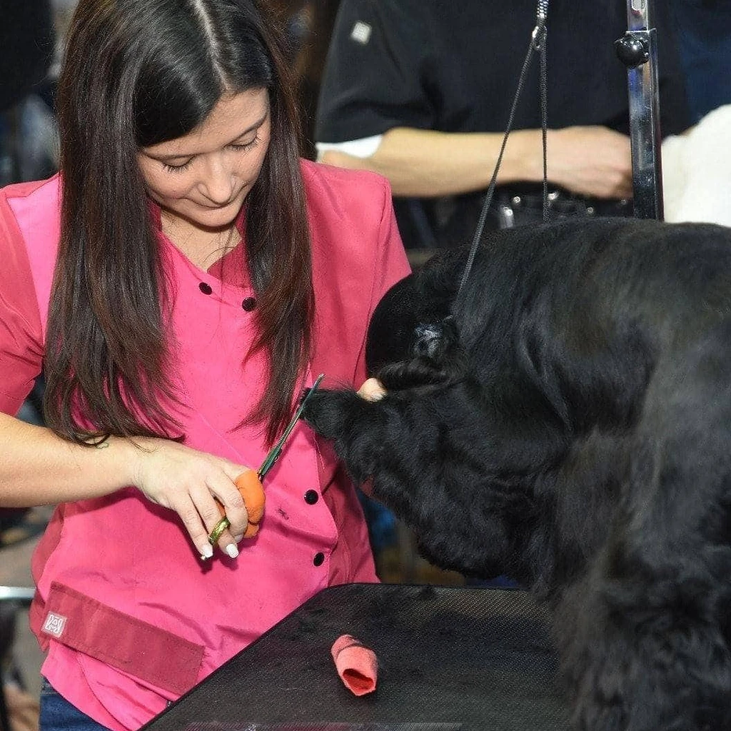 Master Groom Academy
