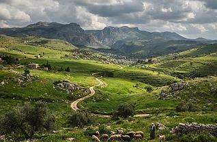 شواهد القنيطرة وتراث الجولان
