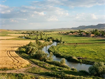 الحسكة