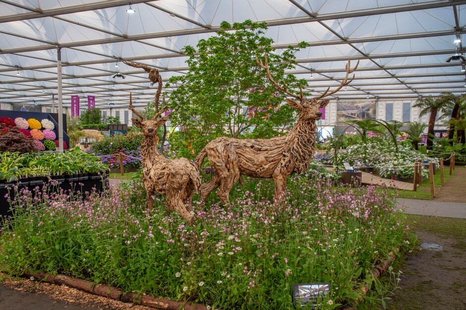 Jumbulance visit to the Chelsea Flower Show