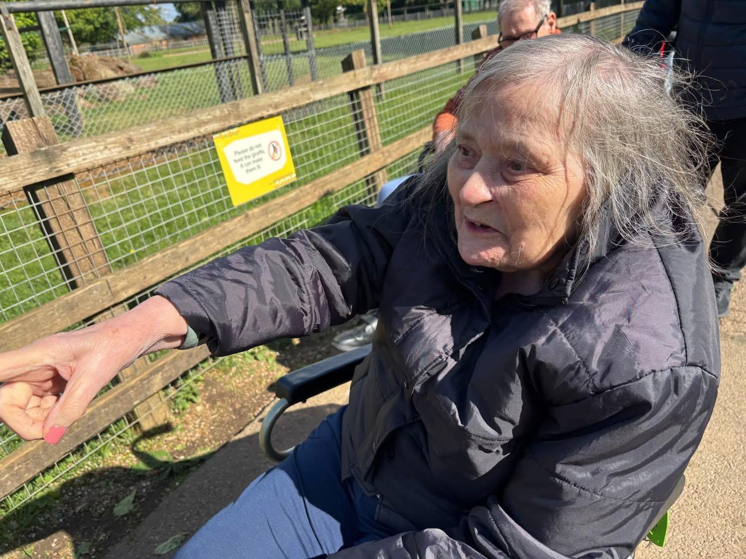 A traveller pointing out the giraffes at the zoo
