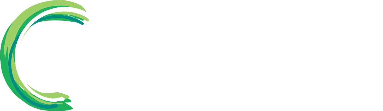 Jumbulance