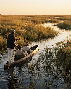 Mokoro gliding past reeds in Botswana's Okavango delta