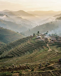 Rwanda's thousand hills of terraced farmland at dawn