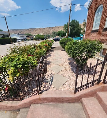 Stone paver pathway with trimmed roses after