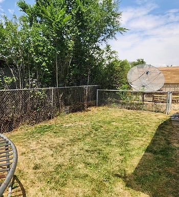 Fence revealed after the overgrowth was cut and cleared
