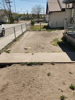 Bare dirt yard with concrete walkway before sod installation