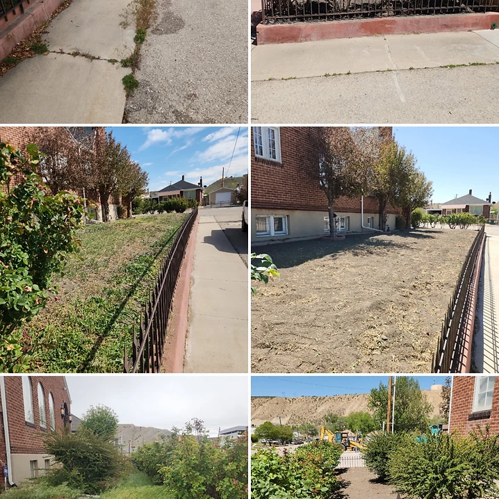 Before and after collage of sidewalk edge, lawn area, and shrubbery clean-ups