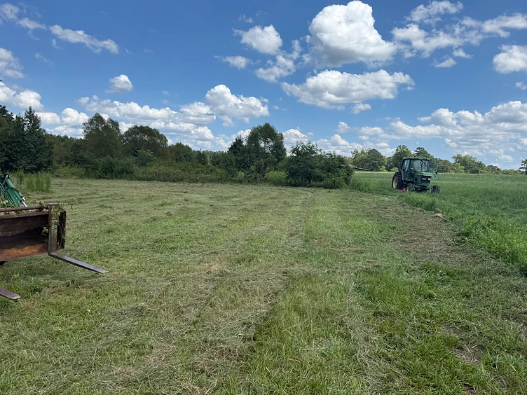 After brush cutting: a freshly mowed path cut through the field by Kreitlow Farms' bushhog