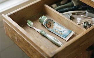Abandoned dog toothbrush in a bathroom drawer