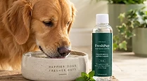 Dog drinking normally from a water bowl with FreshPup additive