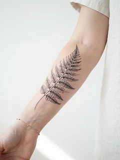Ornamental Fern