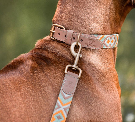 Dog collar