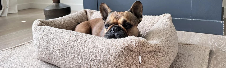 Dog bed
