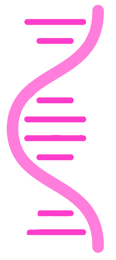 Polynucleotide