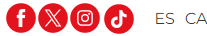Social Icons