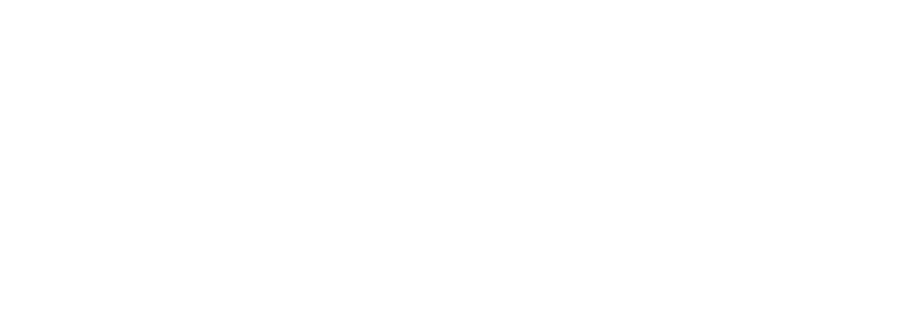 Secondary text logo white
