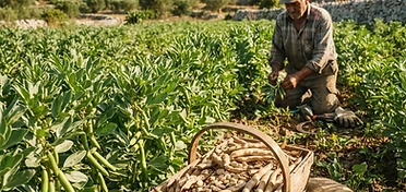 Azienda Agricola Buondioli Michele