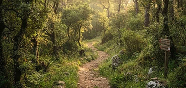 Trekking sul Sentiero delle Anguille