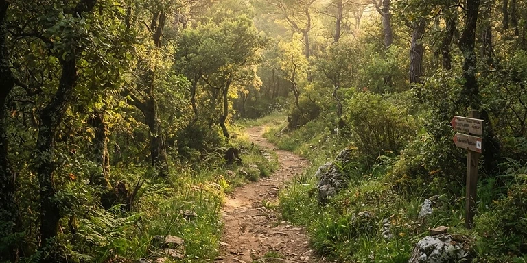 Trekking sul Sentiero delle Anguille