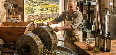 Frantoio Oleario Varano Snc