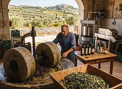Azienda Agricola Uliveto Totaro