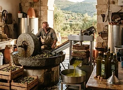 Azienda Agricola Masella