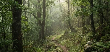 Hardcore Gargano Trekking dei due siti UNESCO