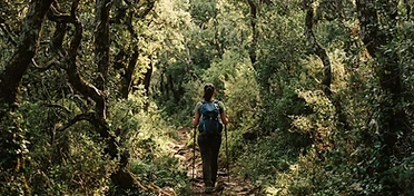 Sentieri segreti del Gargano: Trekking panoramico dell'anfiteatro naturale del Lago di Varano