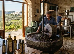 Azienda Agricola Vairo