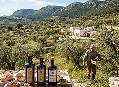 Azienda Agricola Dolce Sofia