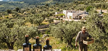 Azienda Agricola Dolce Sofia